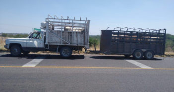 Bajo investigación dos sujetos que transportaban ganado de procedencia desconocida