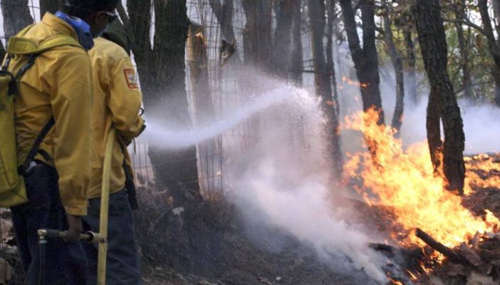 Incendios forestales, uno de los puntos a atacar en temporada vacacional