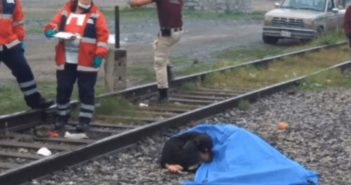 Perro se niega a apartarse del cuerpo de su amo arrollado por un tren