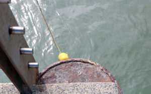 Muelle pierde atractivo y a ninguna autoridad le importa 5 Muelle pierde atractivo y a ninguna autoridad le importa