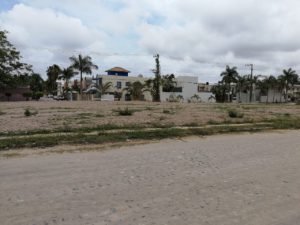 En el olvido áreas verdes de Delfines 1 En el olvido áreas verdes de Delfines