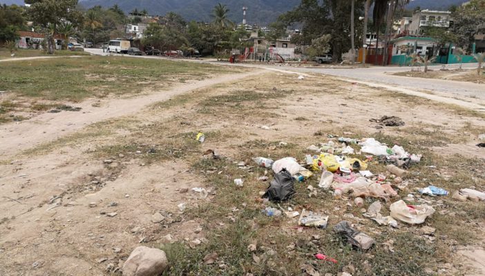 En el olvido áreas verdes de Delfines