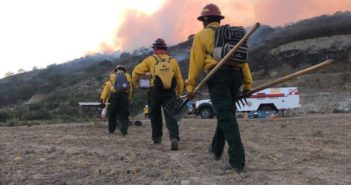 Incendio en el bosque de La Primavera activa alertas por contaminación en la capital