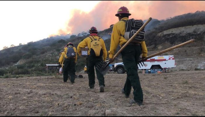 Incendio en el bosque de La Primavera activa alertas por contaminación en la capital
