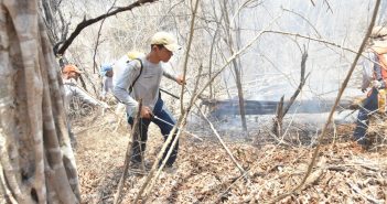 Controlan incendio de Punta de Mita