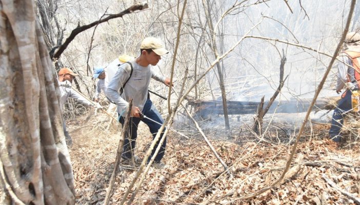 Controlan incendio de Punta de Mita