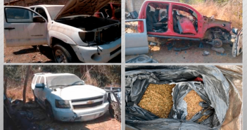 Aseguran 20 kilos de semilla de marihuana en Puerto Vallarta