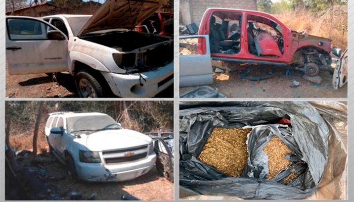 Aseguran 20 kilos de semilla de marihuana en Puerto Vallarta