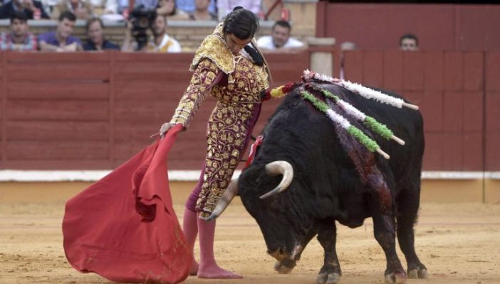 Aprueba Congreso de Nayarit las corridas de toros y peleas de gallos