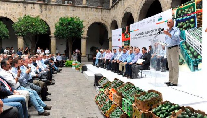 Exportaciones de Jalisco resultan afectados por retrasos de certificados