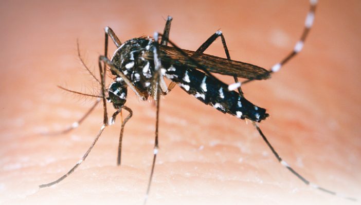 SSJ lanza campaña contra dengue, chikungunya y zika ante el temporal