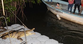 Realiza 'El Salado' primer recorrido nocturno por el ANP