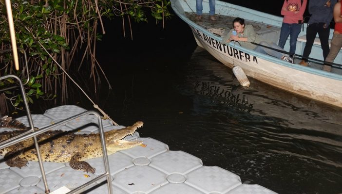 Realiza 'El Salado' primer recorrido nocturno por el ANP