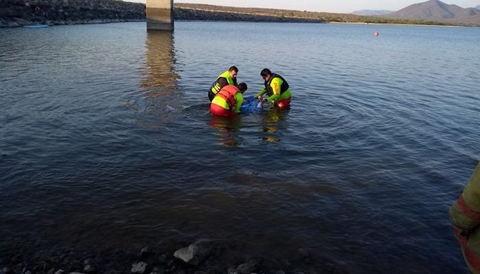 Camioneta se hunde en presa de jalisco, familia iba abordo