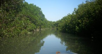 Unidad deportiva dañaría, todavía más, el Estero El Salado