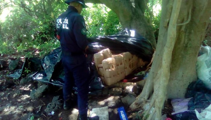 Aseguran 150 kilos de marihuana en Jalisco