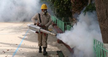 Jalisco registra alza del 256% en casos de dengue