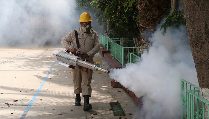 Jalisco registra alza del 256% en casos de dengue