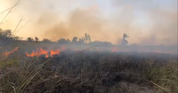 'Quema accidental' afecta ANP del estero