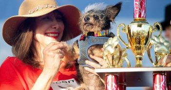 Eligen al perro más feo del mundo en California