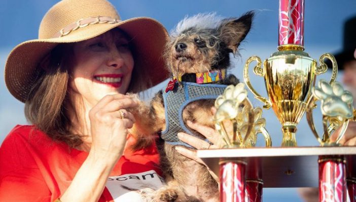 Eligen al perro más feo del mundo en California