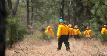 Destinan 161 millones para conservación de zonas forestales en Jalisco