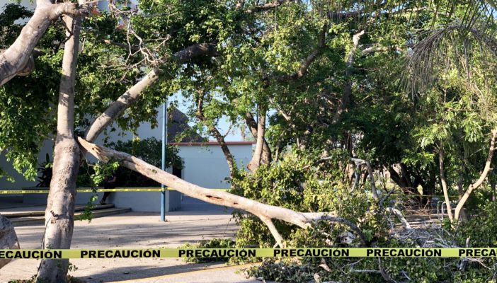 Cuantiosos daños dejó la lluvia y viento del fin de semana en el CUCosta