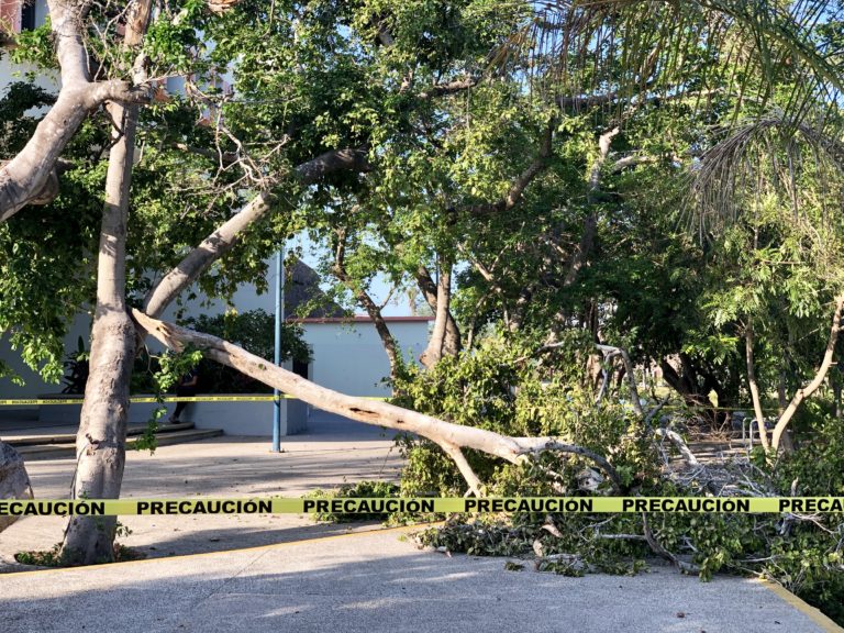 Cuantiosos daños dejó la lluvia y viento del fin de semana en el CUCosta