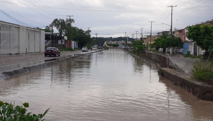 Temen en Parque Las Palmas por crecida del canal y presencia de cocodrilos