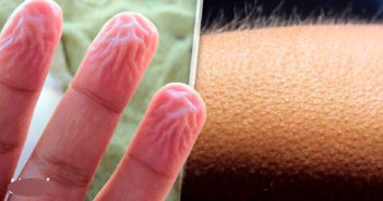 10 cosas que probablemente no sabes sobre tu cuerpo