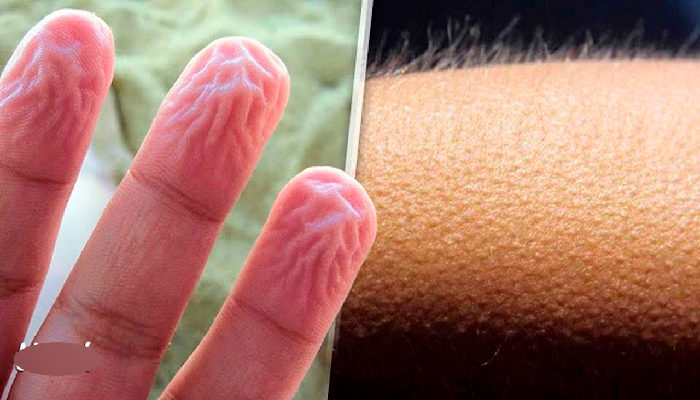 10 cosas que probablemente no sabes sobre tu cuerpo