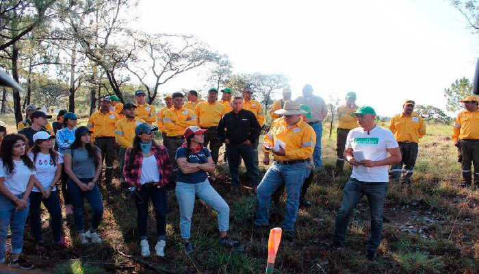 Ciudadanos plantan 230 árboles en reforestación del Bosque La Primavera