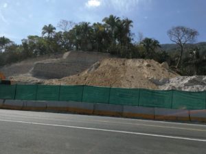 Grupo TAFER de González Corona todavía no reforesta por obras en Garza Blanca