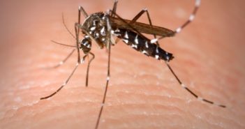 Sube Jalisco a la cuarta posición por dengue, Vallarta aporta muchos casos