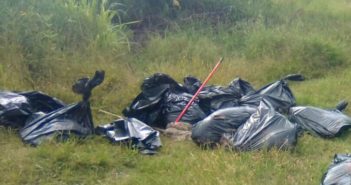 Localizan 17 bolsas con restos humanos, ahora en Tala