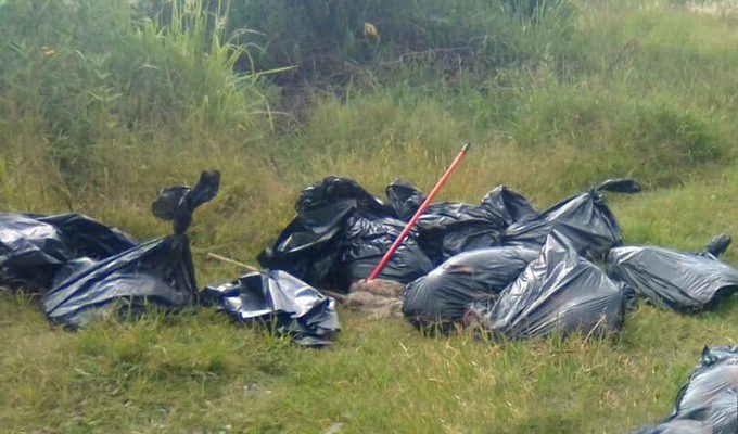 Localizan 17 bolsas con restos humanos, ahora en Tala