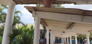 No se tiene una radiografía real de cuántas escuelas están desmanteladas en Vallarta