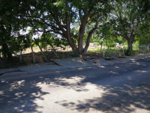 Puerto Vallarta, la ciudad que no está hecha para peatones 7 Puerto Vallarta, la ciudad que no está hecha para peatones