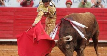Hará consulta AMLO para prohibir corridas de toros