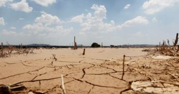 Atraviesa sequía casi la mitad de los municipios de Jalisco