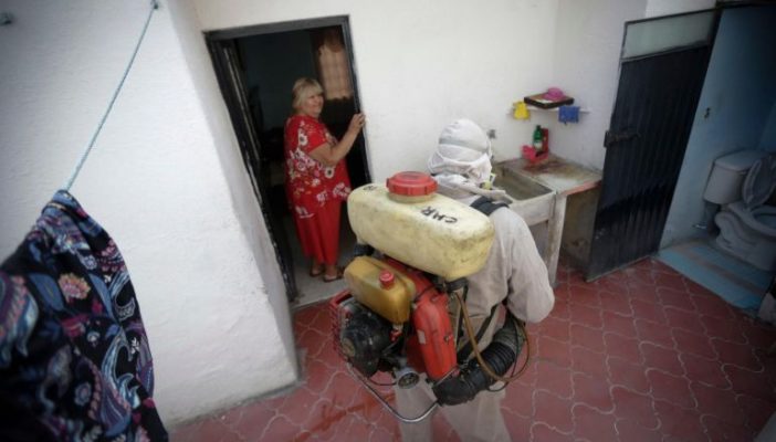 Salud analiza 48 muertes probables por dengue en Jalisco