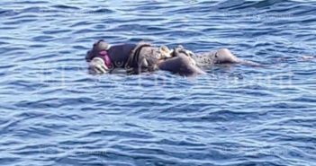 Hallan cuerpo de sexo masculino flotando frente a Islas Marietas