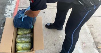 Aseguran droga en paquetería de Villas del Real