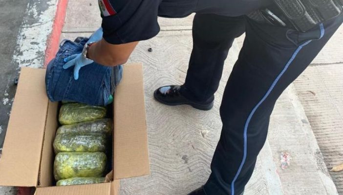 Aseguran droga en paquetería de Villas del Real