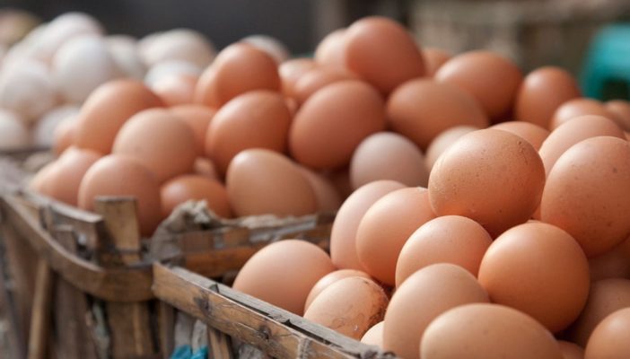 México es el principal consumidor de huevo; Jalisco y Sonora destacan