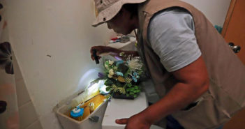 En Jalisco, las cifras por casos de dengue aumentan