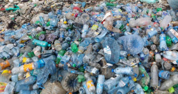 México recicla más de tres mil millones de botellas de PET