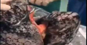 ¿Fumas? Así quedarán tus pulmones en 30 años