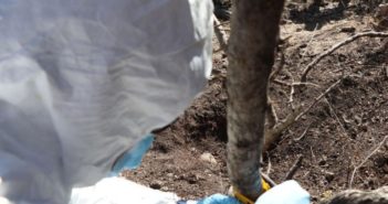 Encuentran 16 cadáveres en una fosa en Lagos de Moreno