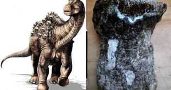 Encuentran los primeros fósiles de dinosaurio en Ecuador